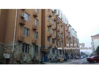 �����ϙ쿤(�������� ��������)