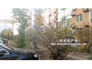 �����ϙ쿤(�������� ��������)