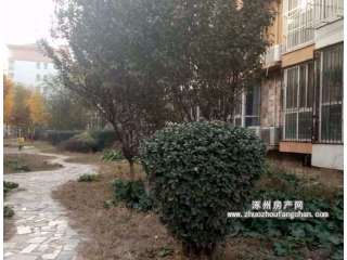 �����ϙ쿤