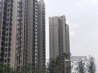 �����кͳ�