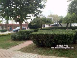 ��̽�ֶ�̖(h��o)Ժ(�°�С�^(q��))