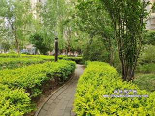 (li��n)����̖(h��o)Ժ