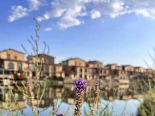 ����С�(zh��n)