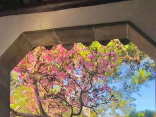 �����A��